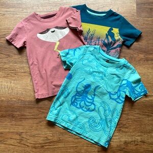 Three VGUC Tea Collection tees, size 5